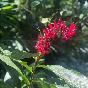 Meet your Posher, Annabelle